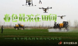 生机在线观看,探索生命奥秘的数字之旅